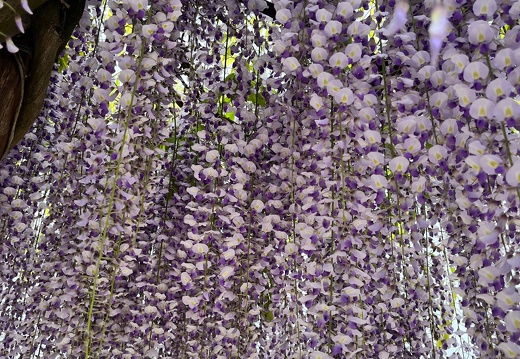 23-05-16 12-06-32 5395